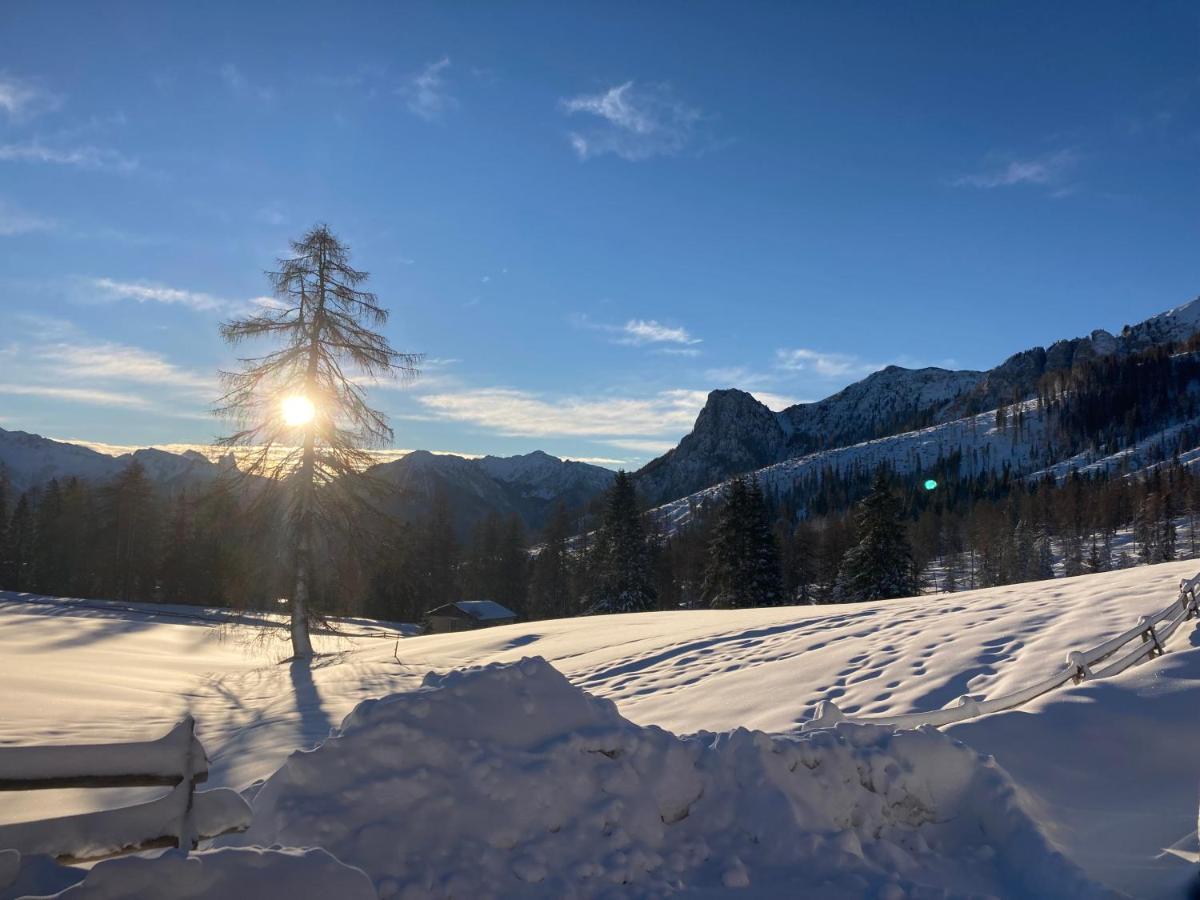 Renoviertes Apartment Mit Terrasse An Der Piste Mit Kostenlosen Wifi Carezza al Lago Exteriör bild